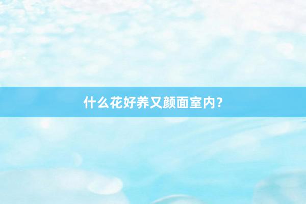 什么花好养又颜面室内?