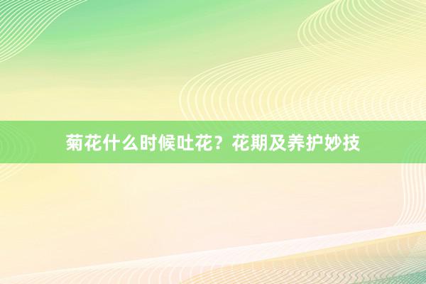 菊花什么时候吐花？花期及养护妙技